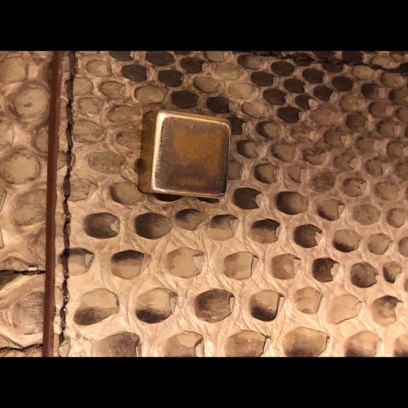 Celine phython phantom luggage Sold🎉 - Picture 9 of 10